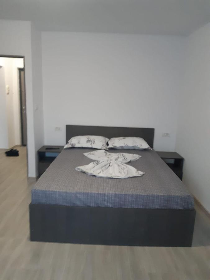 Studio Andrei Ramnicul Valcea Râmnicu Vâlcea Eksteriør bilde